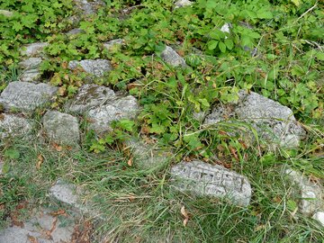 Woche der Brüderlichkeit 2023